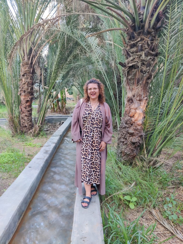 Falaj irrigation system in Al Ain oasis