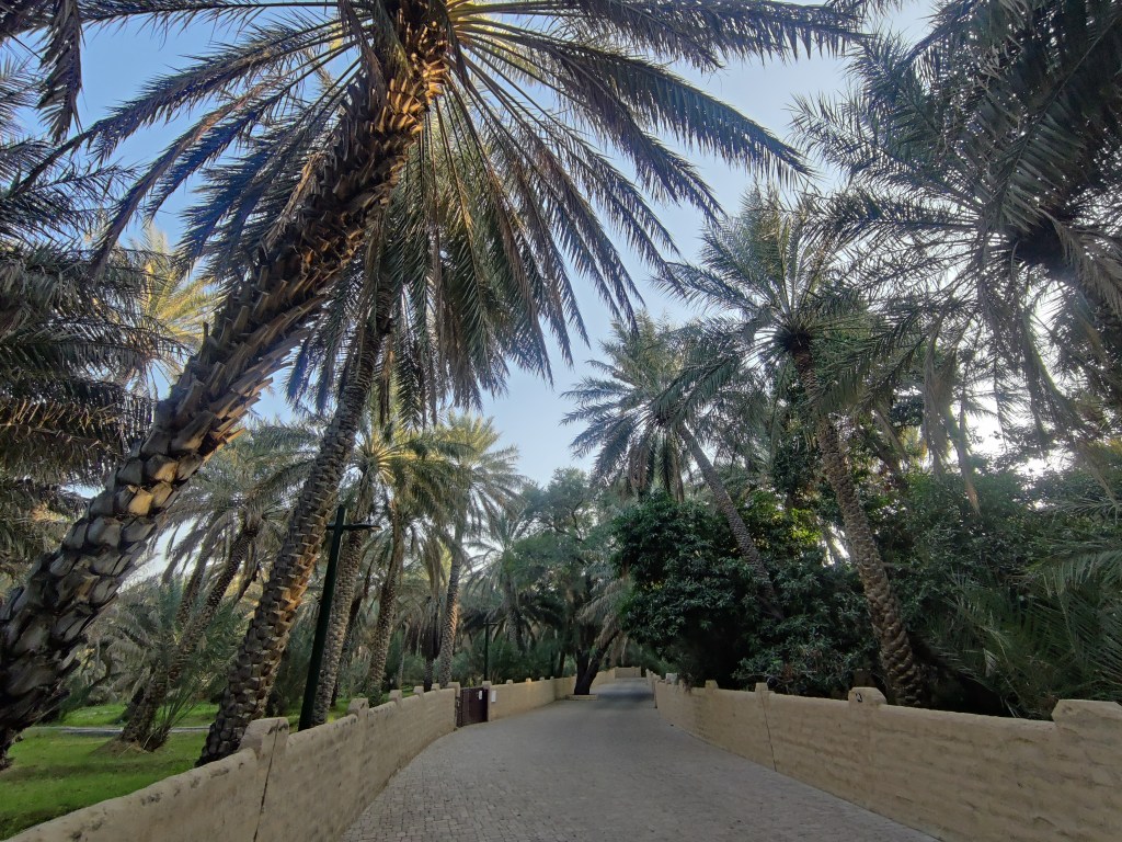 Al Ain Oasis