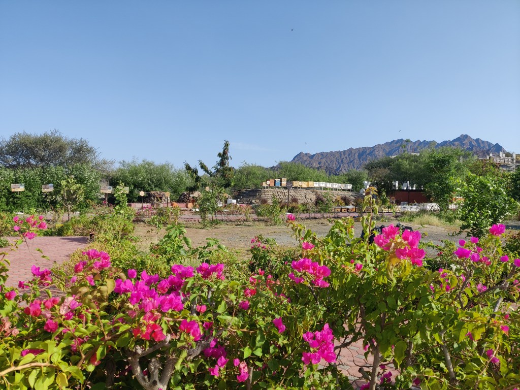 Honey Bee Garden in Hatta